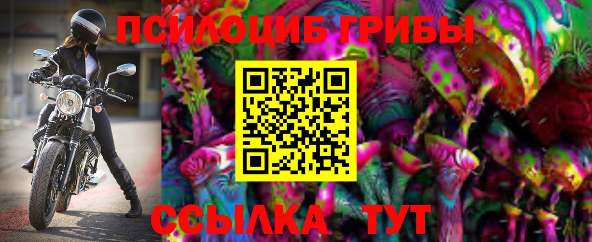 Лобня  Псилоцибиновые грибы Cubensis  Вход с VPN 
